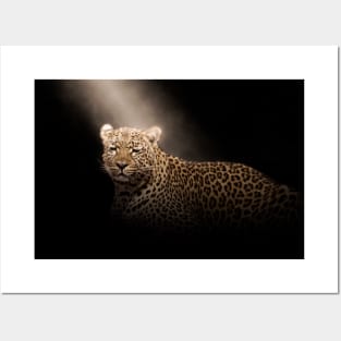 Leopard Panther Wild Animal Safari Jungle Africa World Earth Posters and Art